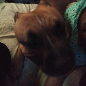 Meet your Posher, Veronica